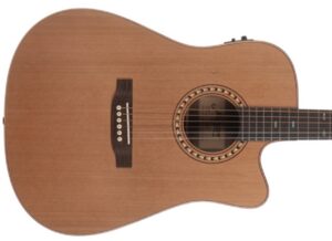 Morgan W309sce deluxe (mat) Western gitaar met element