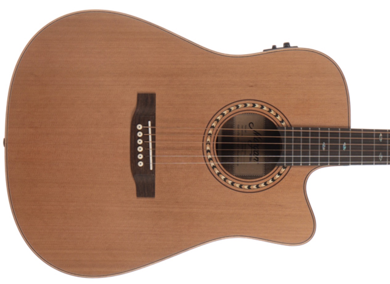 Morgan W309sce deluxe (mat) Western gitaar met element