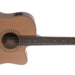 Morgan W309sce deluxe (mat) Western gitaar met element