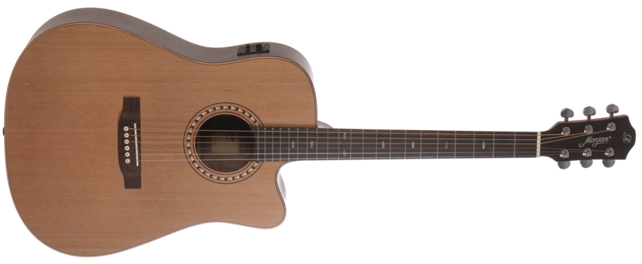 Morgan W309sce deluxe (mat) Western gitaar met element